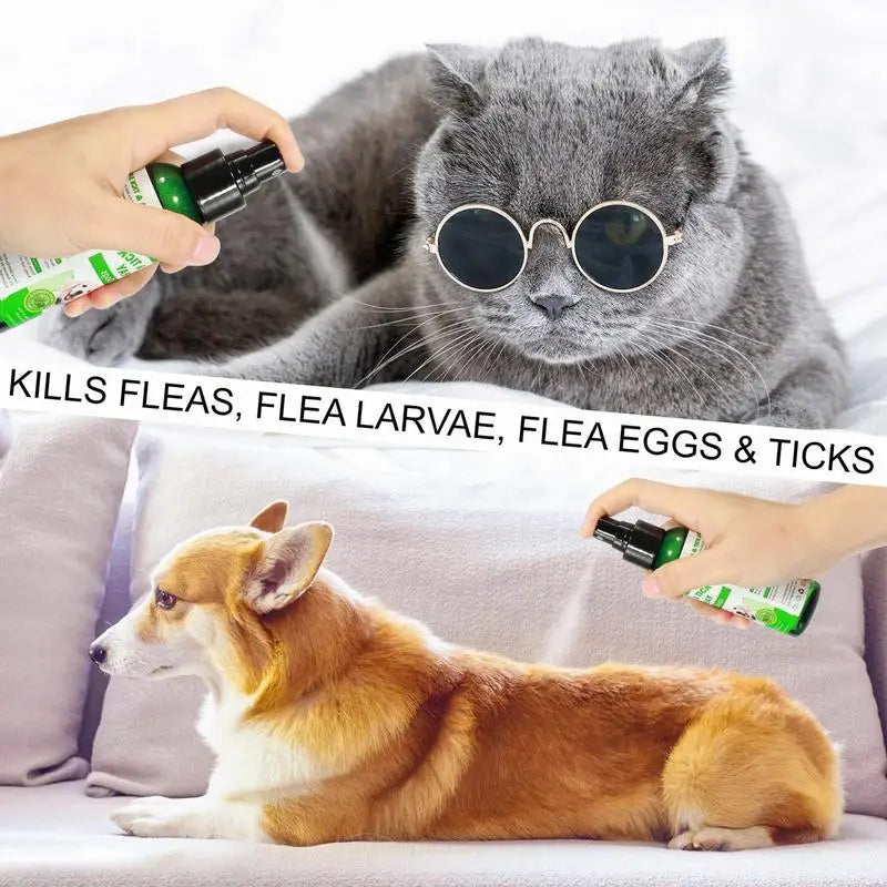 Pet Skin Spray Fleas Tick & Mosquitoes Spray Natural Care Flea and Tick Spray Fleas Control Prevention for Dogs and Cats