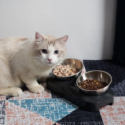 Elevated Pet Double Stainless Steel Bowls