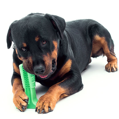 Pet Toothbrush