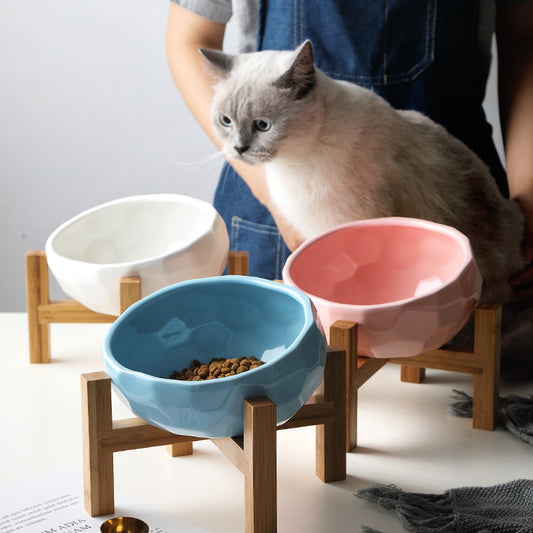 Ceramic Oblique Pet Bowl with Stand