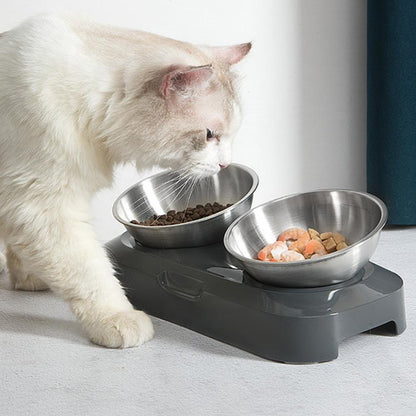 Elevated Pet Double Stainless Steel Bowls