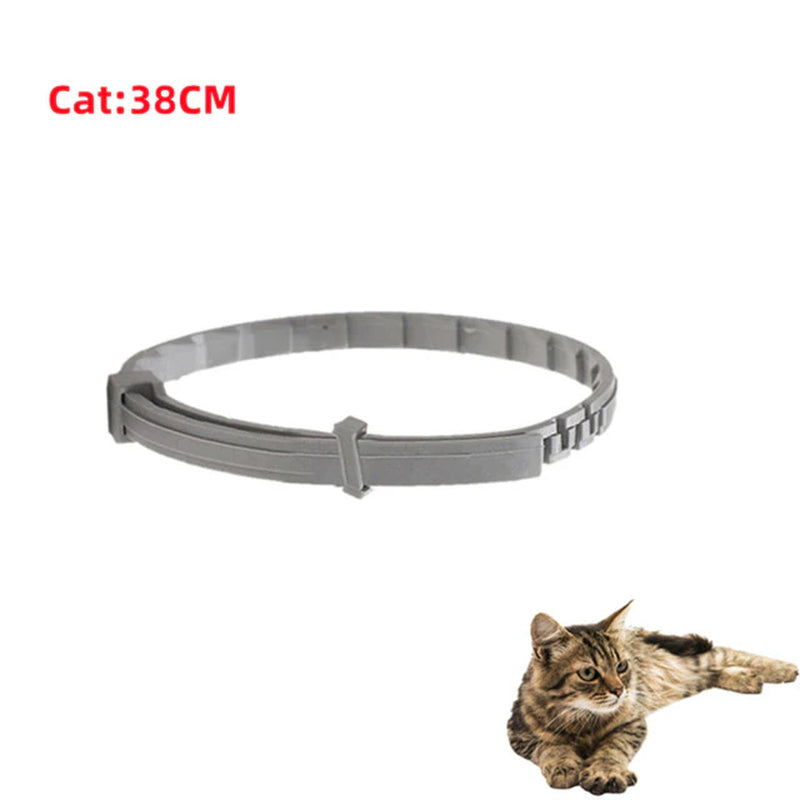 New Pet Dog Cat Collars Veterinary anti Flea and Tick Collar for Cats Dogs Anti-Parasitic Necklace for Large Small Dogs Products