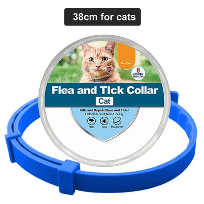 Pet Flea and Tick Collar for Dogs Cats up to 8 Month Flea Tick Prevention Collar Anti-Mosquito & Insect Repellent Puppy Supplies