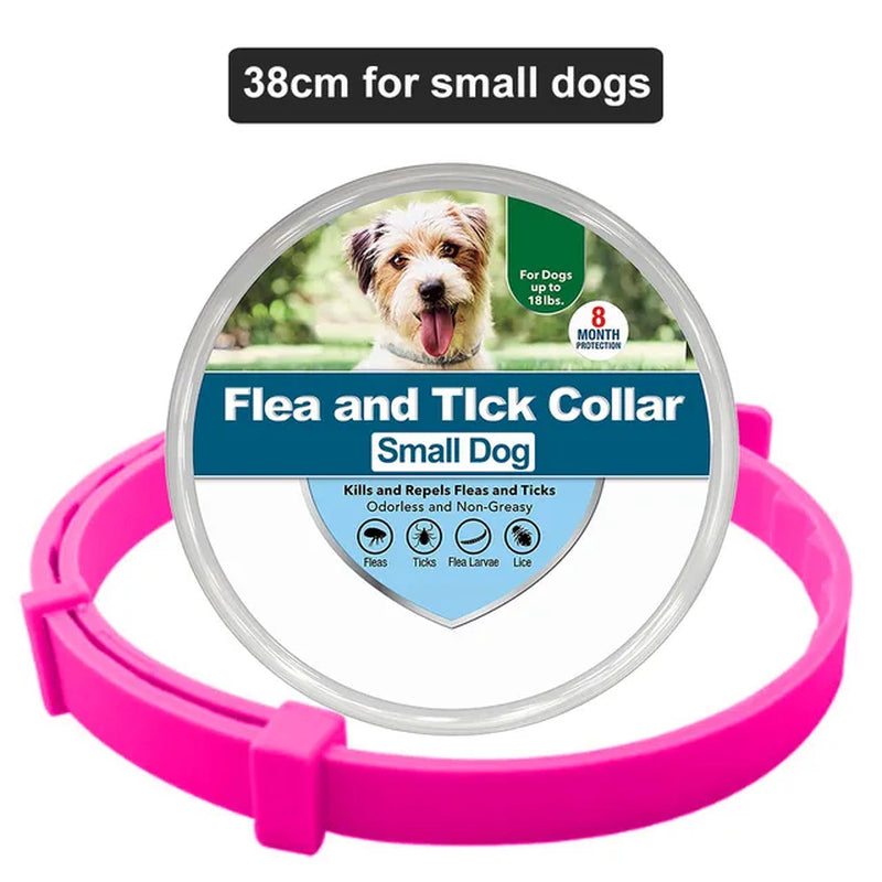 Pet Flea and Tick Collar for Dogs Cats up to 8 Month Flea Tick Prevention Collar Anti-Mosquito & Insect Repellent Puppy Supplies