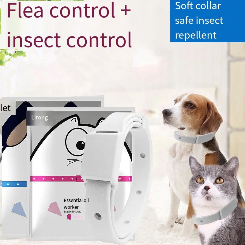 Anti Flea Tick Collar for Cat Small Dog Antiparasitic 8Month Protection Adjustable Puppy Kitten Collar Breakaway Pet Accessories