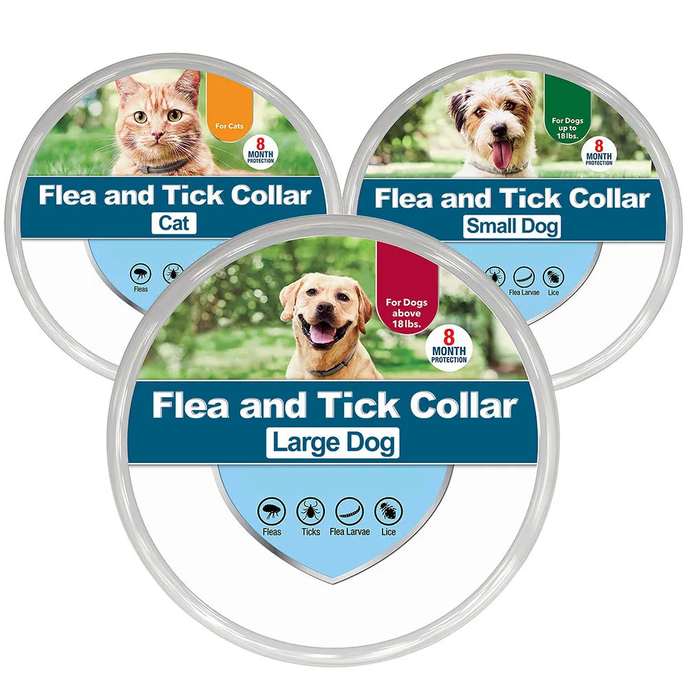 Flea & Tick Collar for Dogs 8 Months Protection Puppy Pet Collar Kills Fleas & Ticks Water Resistant for Small Medium Large Dogs