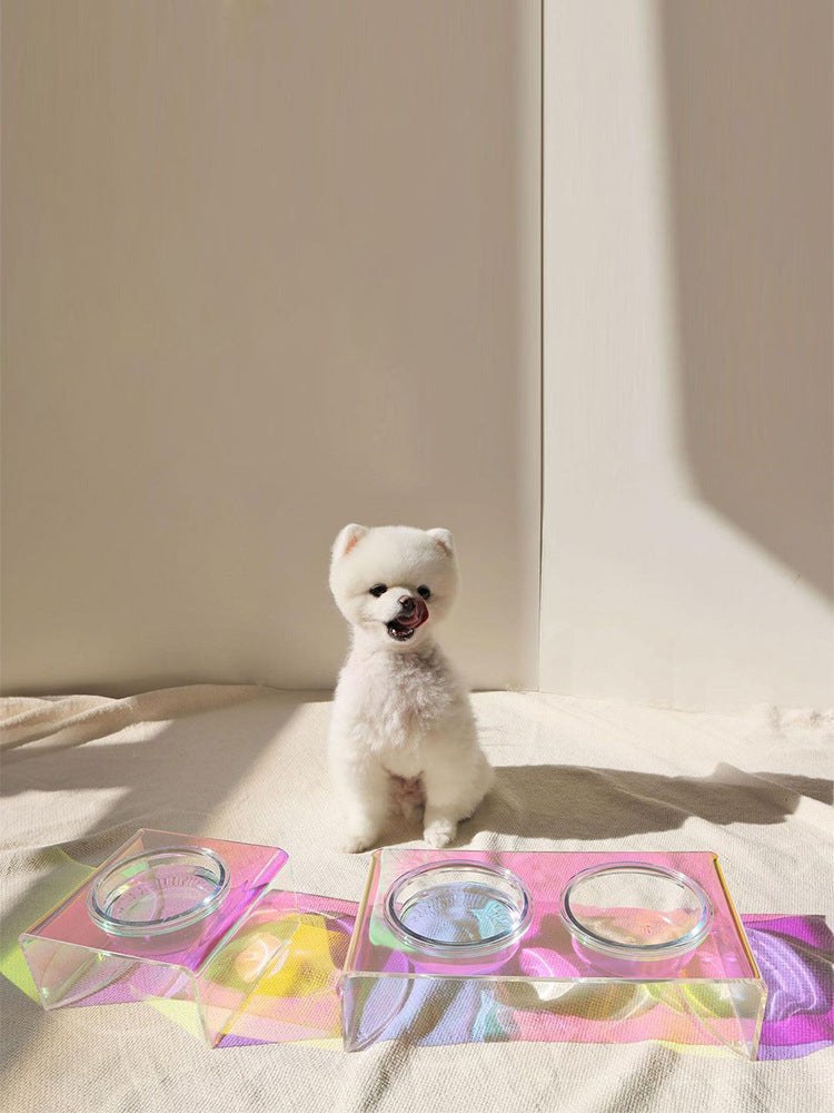 Dazzling Elevated Pet Food Bowl