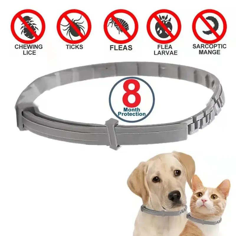 Dog Anti Flea Ticks Antiparasitic Cats Collar