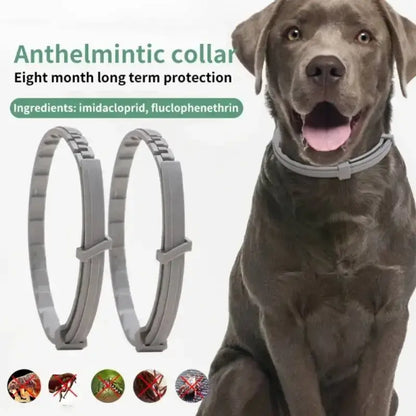 Adjustable Anti-Flea and Tick Collar for Dogs - 8 Month Protection