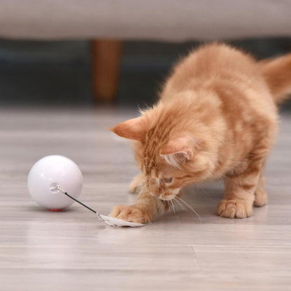 Colorful LED Lights, Self-Rolling Cat Ball