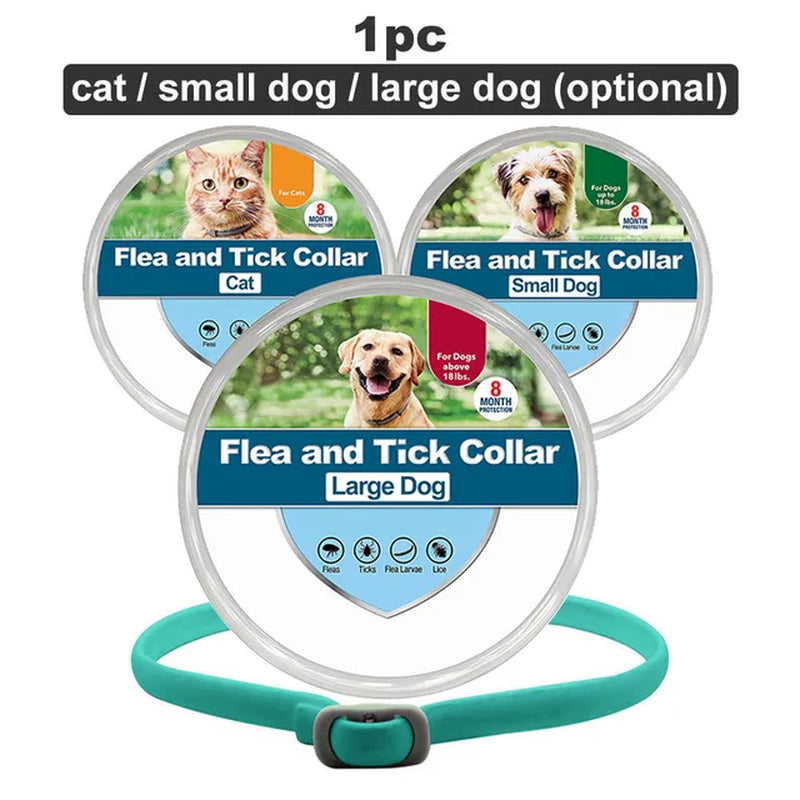 Flea & Tick Collar for Dogs 8 Months Protection Puppy Pet Collar Kills Fleas & Ticks Water Resistant for Small Medium Large Dogs