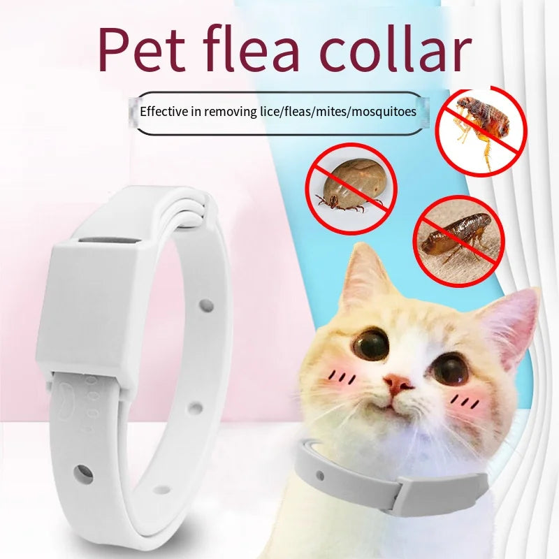 Anti Flea Tick Collar for Cat Small Dog Antiparasitic 8Month Protection Adjustable Puppy Kitten Collar Breakaway Pet Accessories