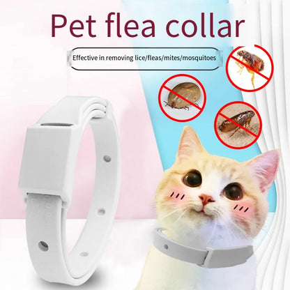 Anti Flea Tick Collar for Cat Small Dog Antiparasitic 8Month Protection Adjustable Puppy Kitten Collar Breakaway Pet Accessories