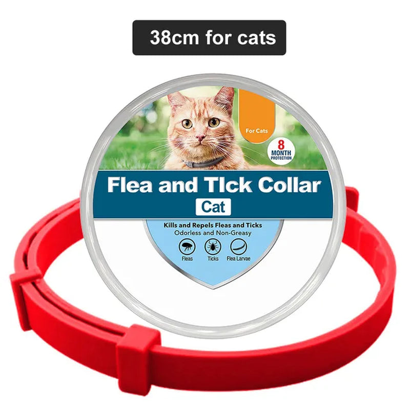 Extendable Pet Dog Flea Collar Antiparasitic Necklace Adjustable anti Flea and Tick Collar Large Dog Puppy Cat Anti-Flea Collar