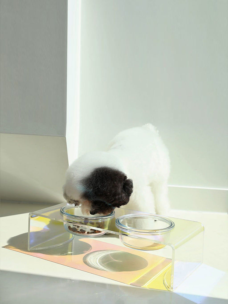 Dazzling Elevated Pet Food Bowl