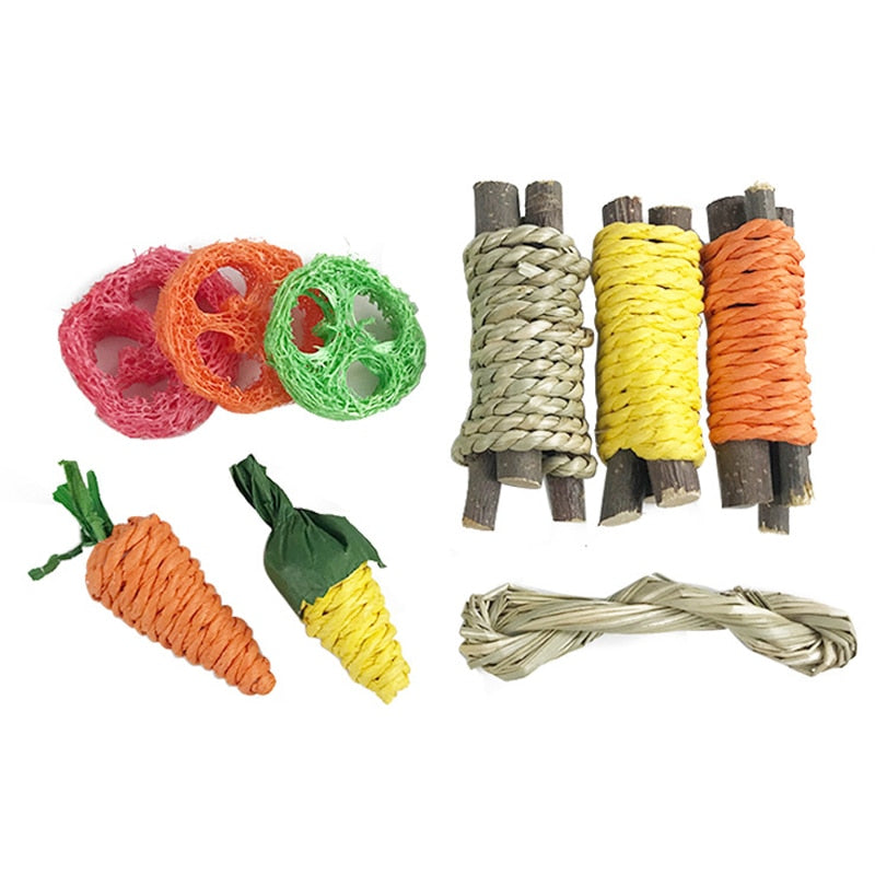 Colorful Pet Teeth Grinding Toy