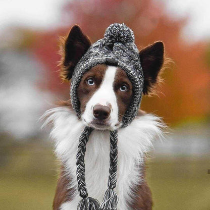 knit pet hat