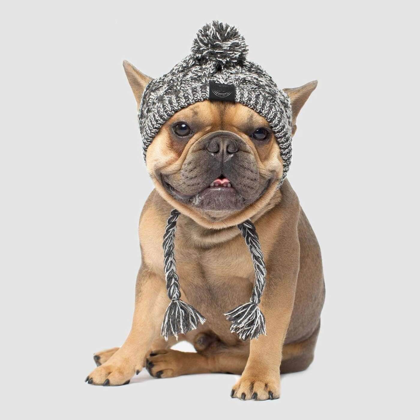 knit pet hat