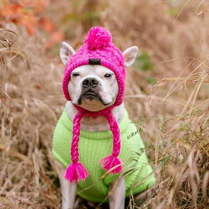 knit pet hat