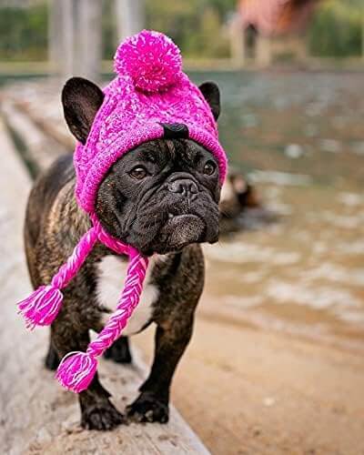 knit pet hat