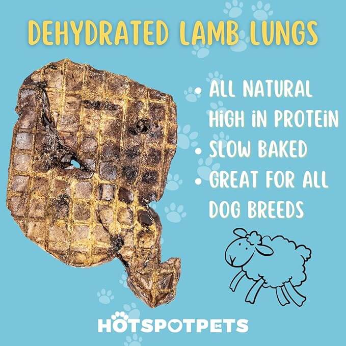 Hotspot Premium Lamb Lung Dog Treats - Slow Roasted All Natural Dehydrated Premium Chew Treats for Dogs - No Hormone- Rawhide Alternative Snack for All Breeds - 1LB