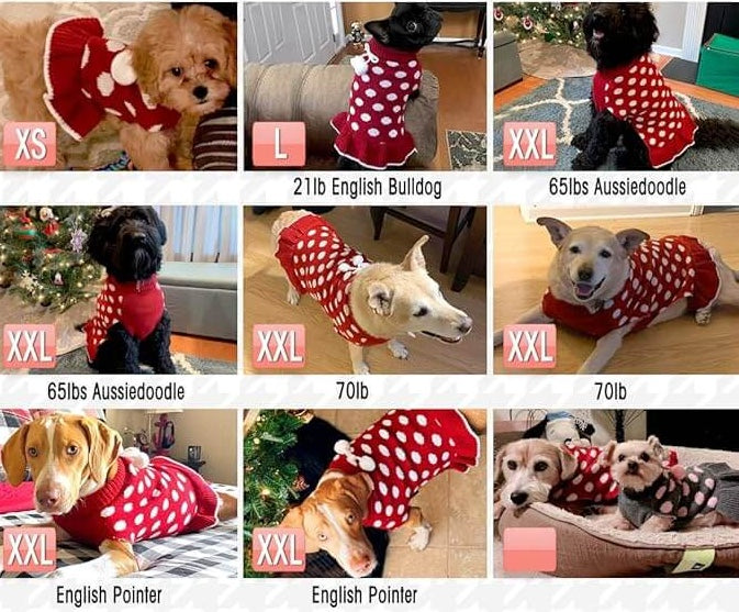 polka dot dog sweater