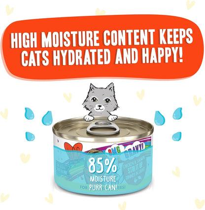 B.F.F. OMG - Best Feline Friend Oh My Gravy!, Chicken & Salmon Stir It up with Chicken & Salmon in Gravy, 2.8Oz Can (Pack of 12)