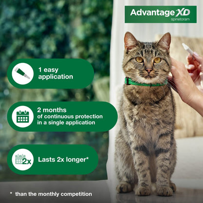 Large Cat Flea Prevention & Treatment, for Cats over 9Lbs, 1 Dose (2-Months)