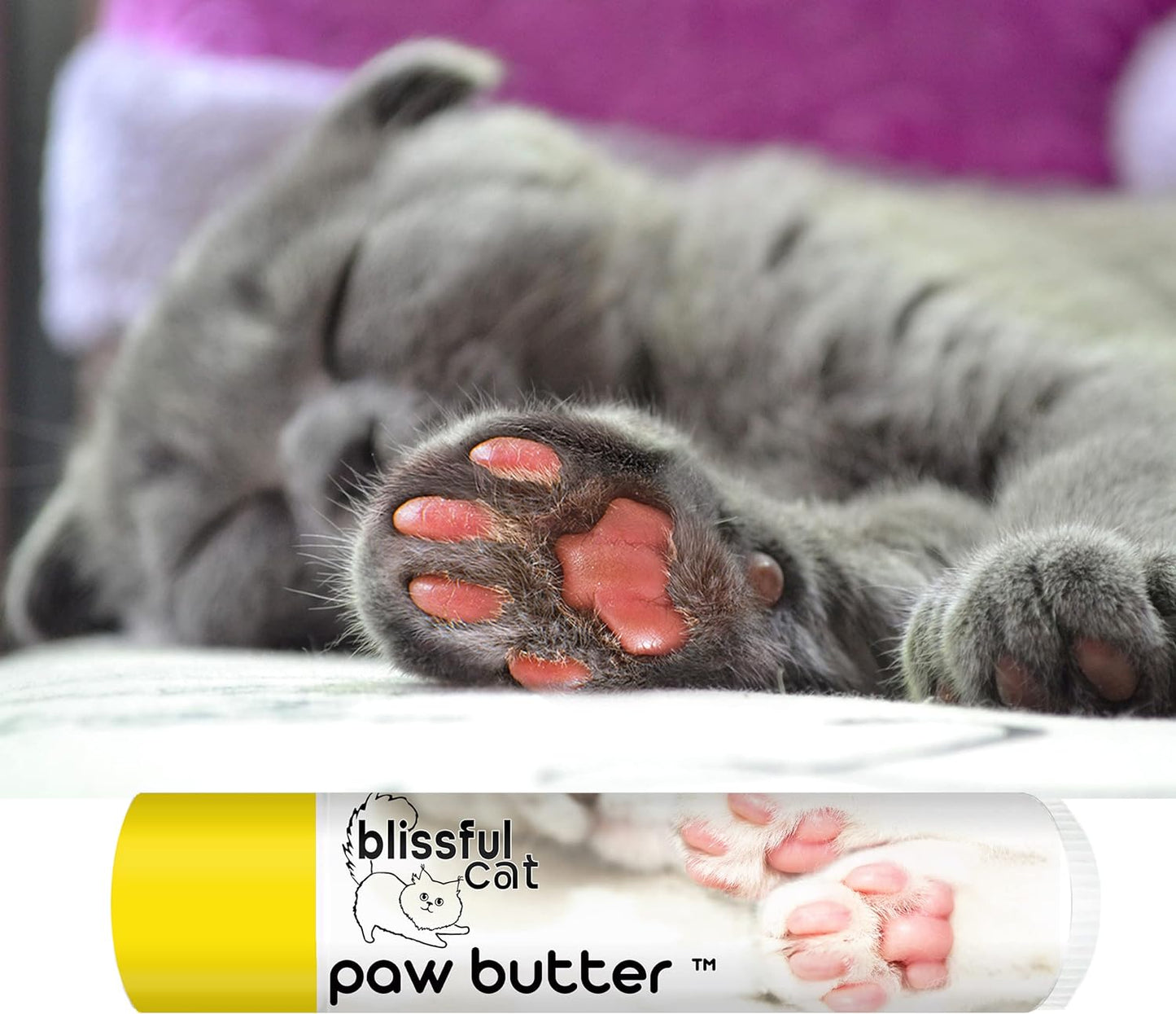 The Blissful Cat Paw Butter, 0.15-Ounce