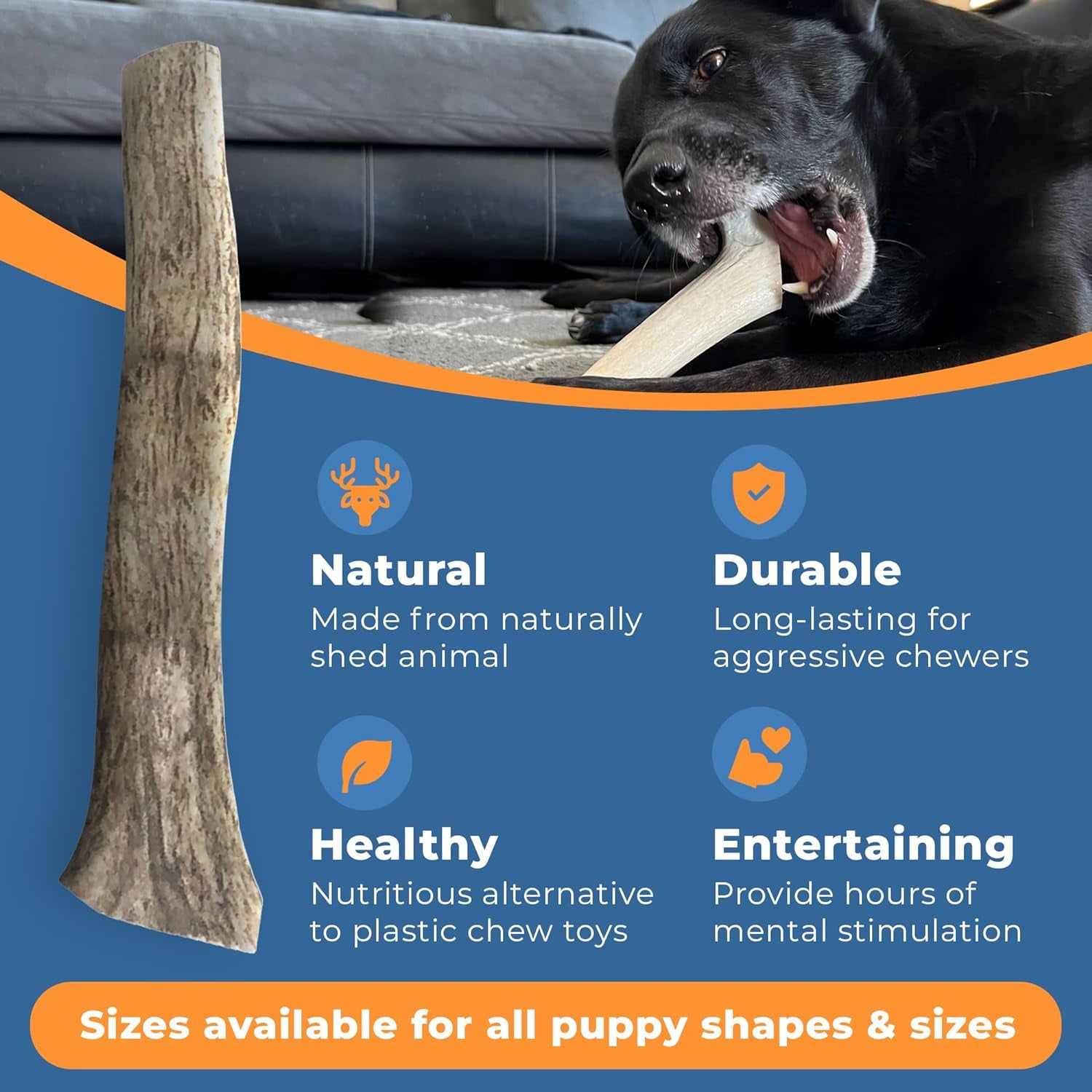 ® - Elk Antlers for Dogs - Natural Elk Antler Dog Chew & Split Elk Antlers for Dogs Large, XL, Medium, Small Dogs - Dog Antlers for Aggressive Chewers - Long Lasting Deer Antler Dog Bone