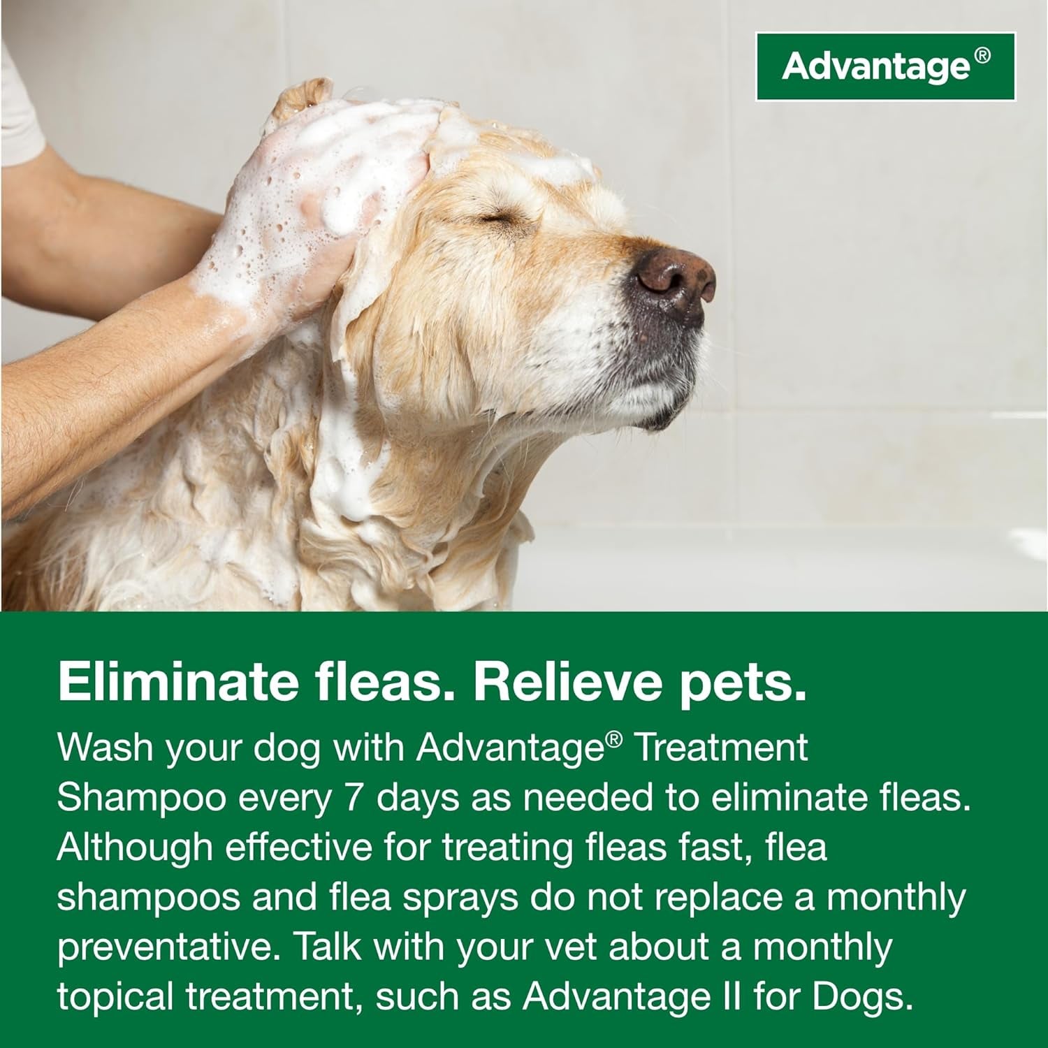 Flea and Tick Treatment Shampoo for Dogs and Puppies, 12 Oz