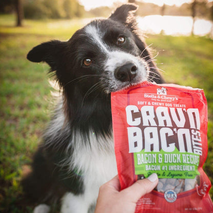 Crav'N Bac'N Dog Treats Bacon & Chicken Recipe, 8.25 Oz. Bag