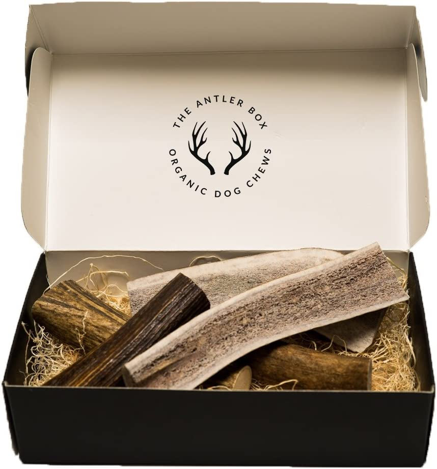 Premium Elk Antler Dog Chews (1 Pound Box) (Medium (4 Pieces) Whole/Split Mixed)