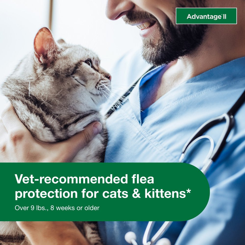 Vet-Recommended Flea Prevention for Large Cats 9 Lbs+, 2-Monthly Treatments