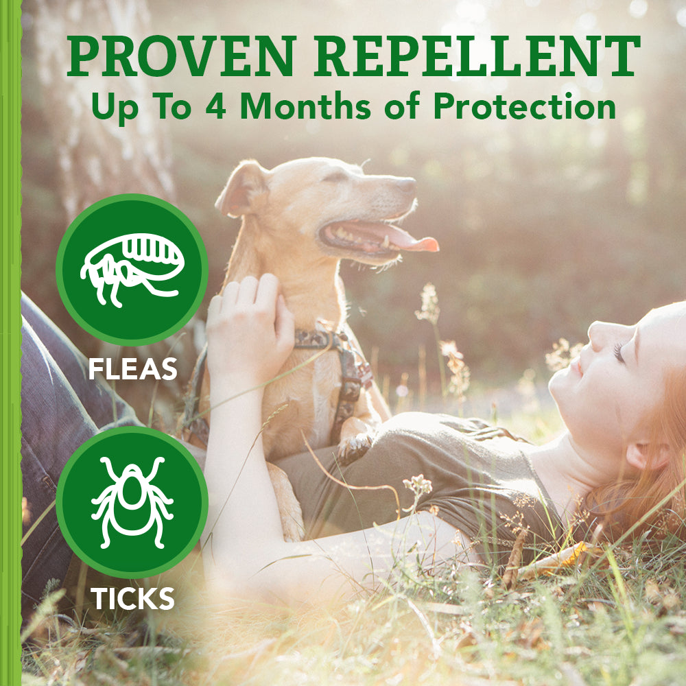 Repellent Flea and Tick Collar for Dogs & Puppies, 4 Month Protection