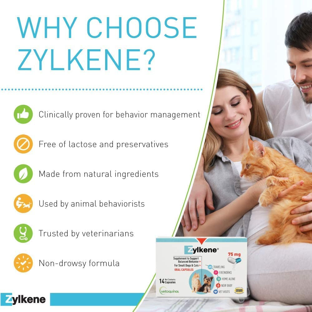 Zylkene Behavior Support Capsules for Small Dogs and Cats, Calming All Natural Milk Protein Supplement, Helps Relieve Dog Anxiety and Cat Anxiety during Fireworks and Thunder, 75Mg