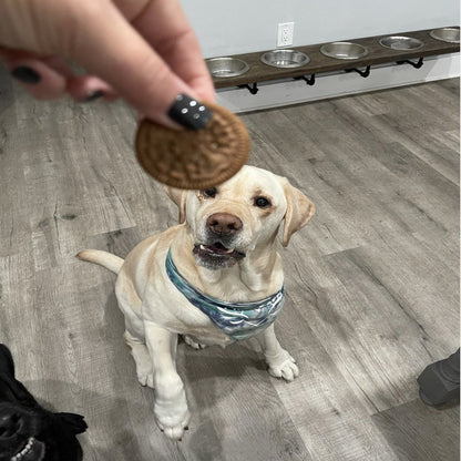 2Pk Lick'N Crunch Sandwich Cookies Crunchy Dog Treats, 26 Oz.