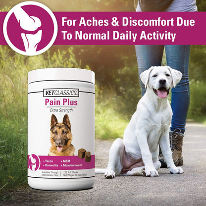 Pain plus Extra Strength Health Supplement for Dogs - 120 Soft Chews