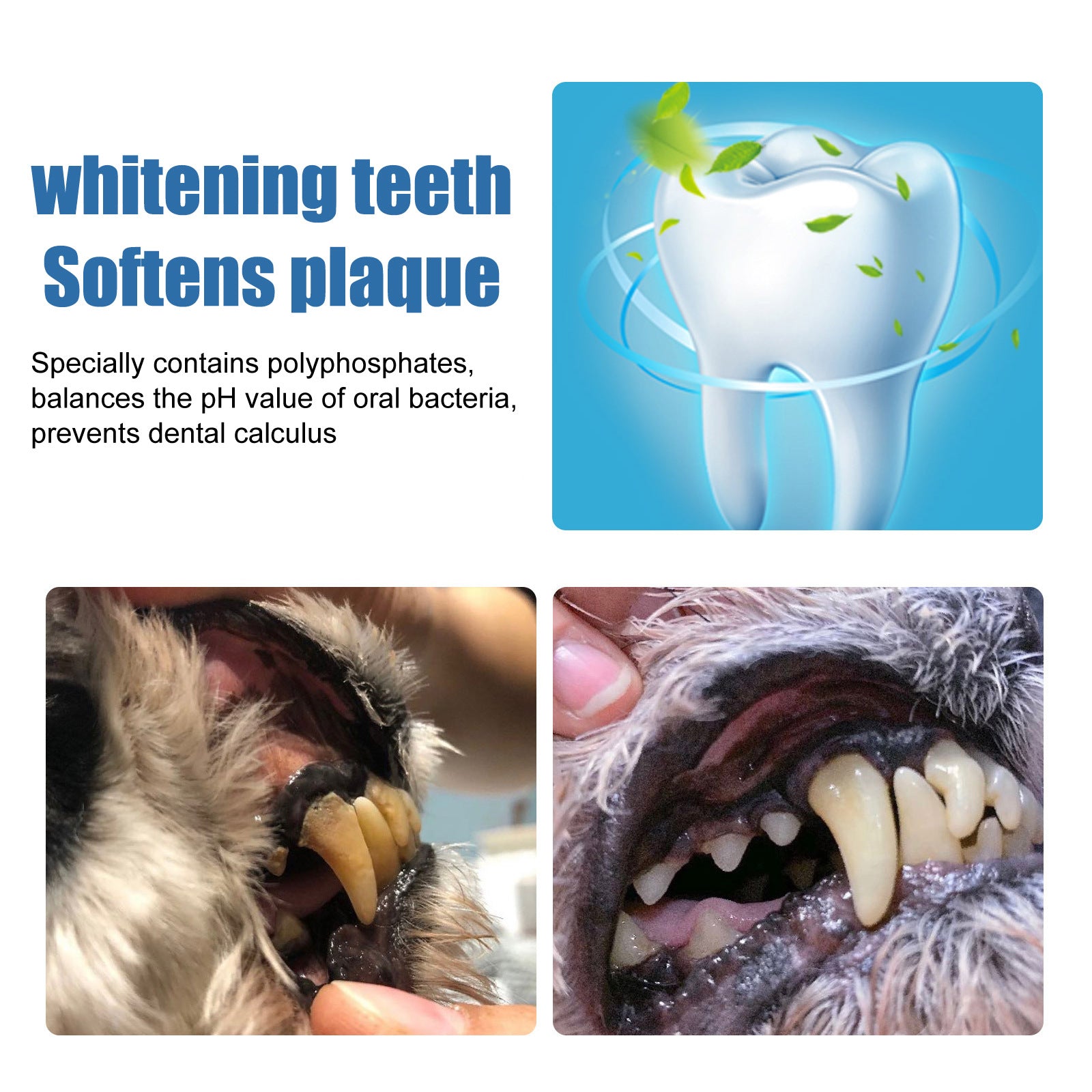 Pet Tartar Remover Removing Dental Calculus Bad Breath Yellow Teeth