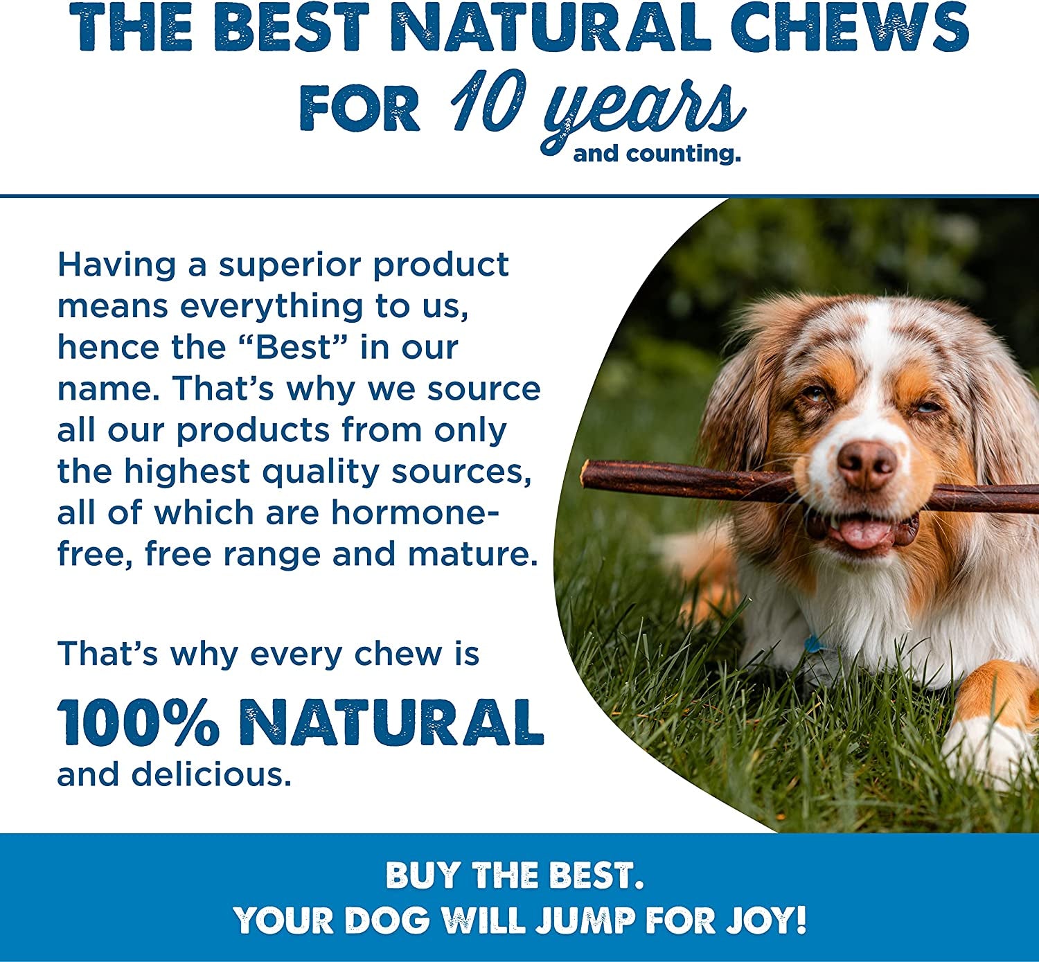 All Natural Dog Chews - 6 Inch Beef Collagen Sticks - USA Baked & Packed - Highly Digestible, Limited Ingredient, Rawhide Alternative Dog Chew - 5 Pack