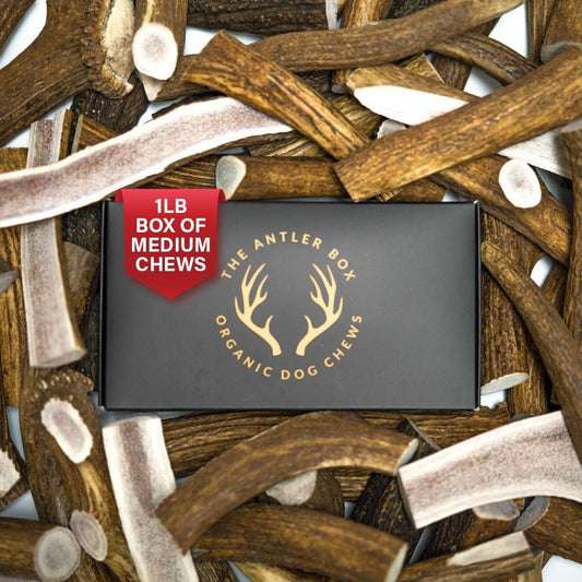 Premium Elk Antler Dog Chews (1 Pound Box) (Medium (4 Pieces) Whole/Split Mixed)