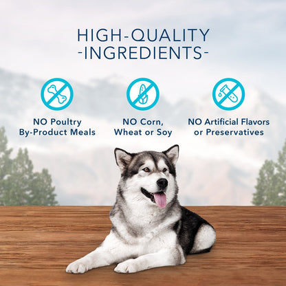 Wilderness Trail Treats High Protein Salmon Flavor Crunchy Biscuit Treats for Dogs, Grain-Free, 24 Oz. Bag