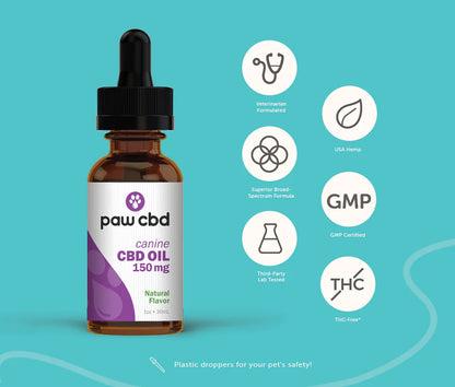 Pet CBD Oil Tincture for Dogs