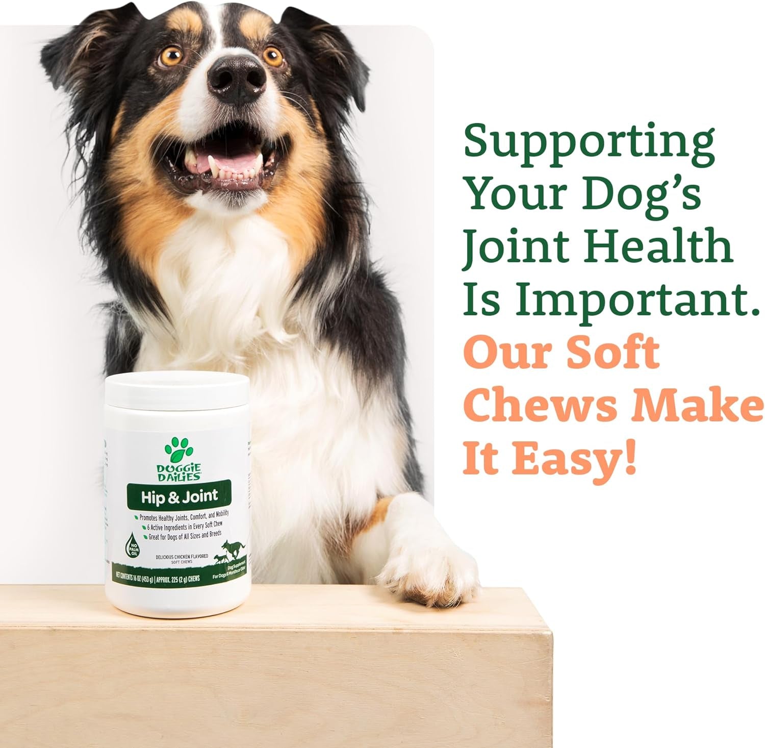 Advanced Hip & Joint Supplement for Dogs, 225 Soft Chews, All Natural Glucosamine, Chondroitin, MSM & Coq10 for Healthy Hips & Joints, Made in the USA