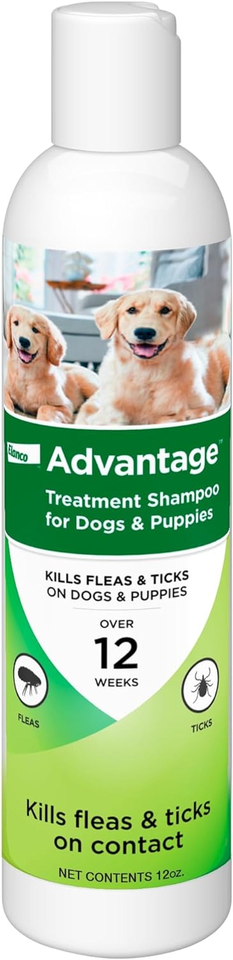 Flea and Tick Treatment Shampoo for Dogs and Puppies, 12 Oz