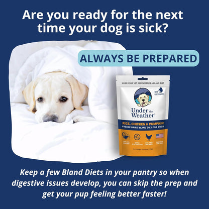 Easy to Digest Bland Diet for Sick Dogs - Always Be Ready - Contains Electrolytes - Gluten Free, All Natural, Freeze Dried 100% Human Grade Meats - Chicken, Rice & Pumpkin