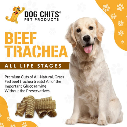 Beef Trachea for Dogs - Dog and Puppy Chews | Amazing for Joints | Made in USA | 6 In, 8 Pack | All-Natural Treats | Large and Small Dogs | Nothing Added