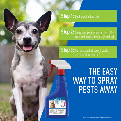 Flea and Tick Spray for Cats, Kittens, Dogs and Puppies, 16 Oz