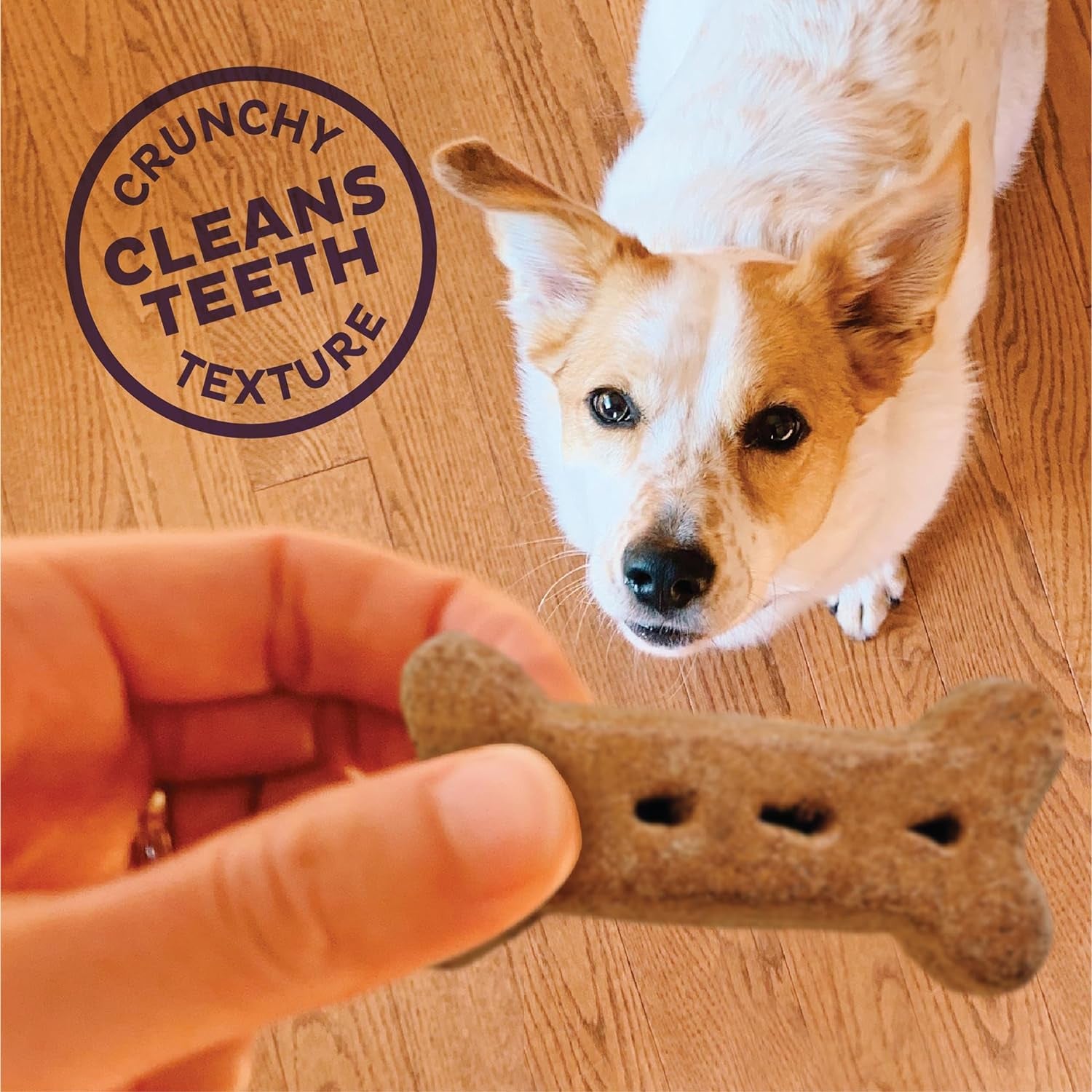 by Wellness Original Mix Natural Dog Treats, Crunchy Oven-Baked Biscuits, Ideal for Training, Large Size, 20 Pound Box