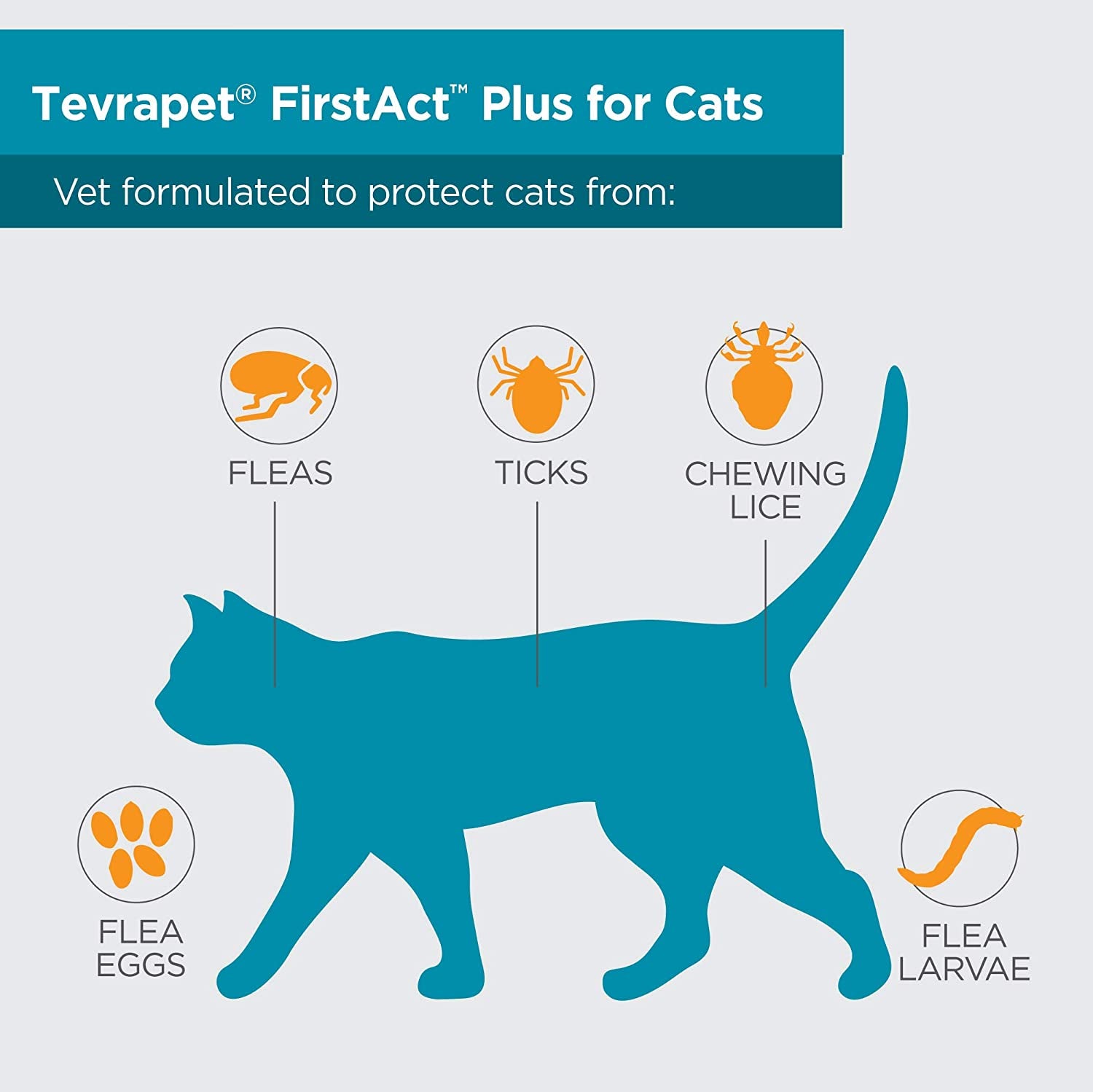 Firstact plus Flea and Tick Prevention for Cats over 1.5Lbs, 6 Monthly Doses, Topical Drops